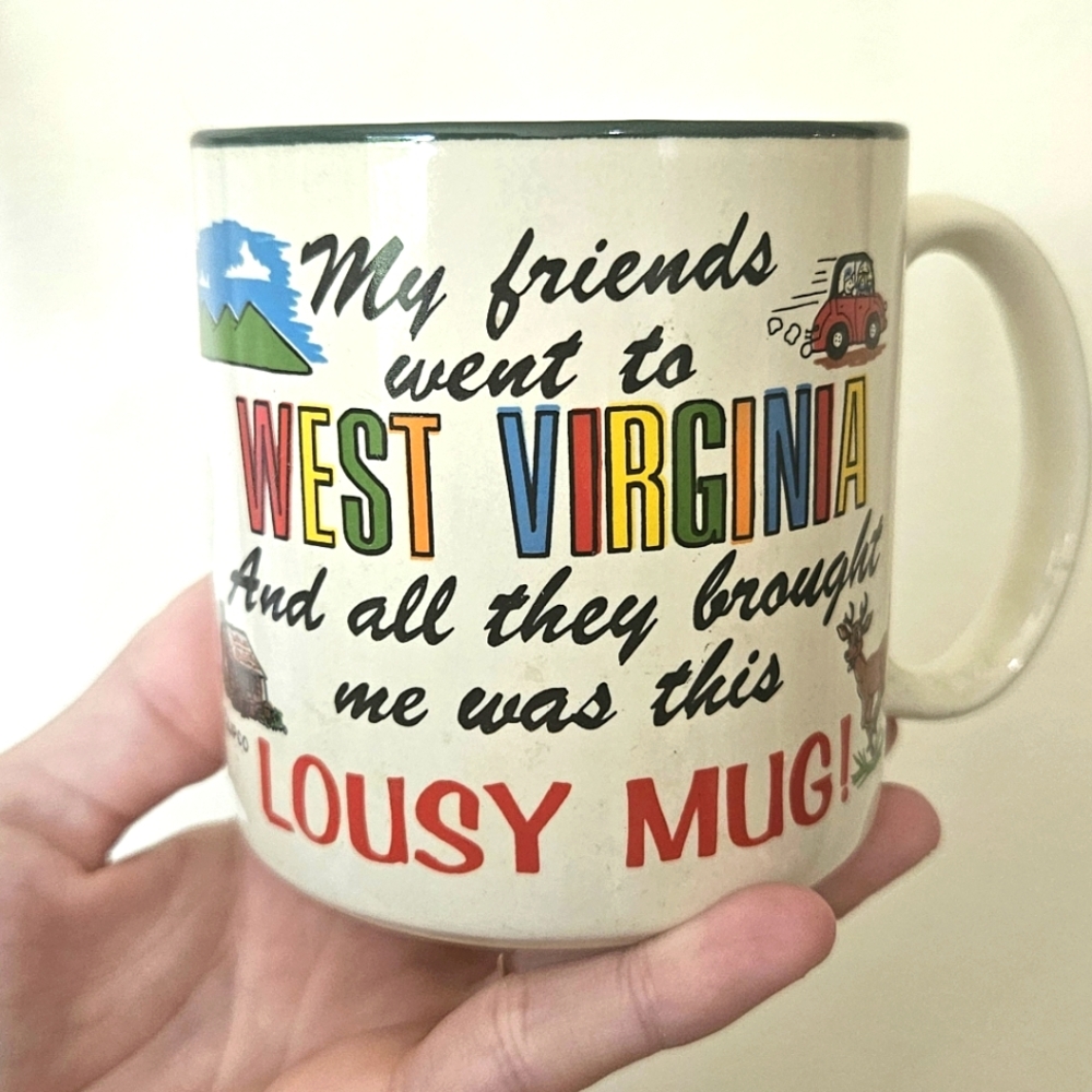 VINTAGE West Virginia Souvenir Mug - Multicolor